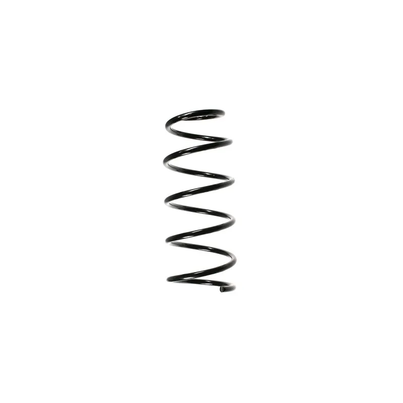 Ressort de suspension SPIDAN 49516