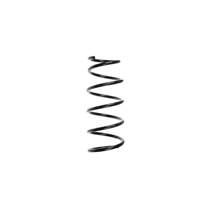 Ressort de suspension SPIDAN 49517