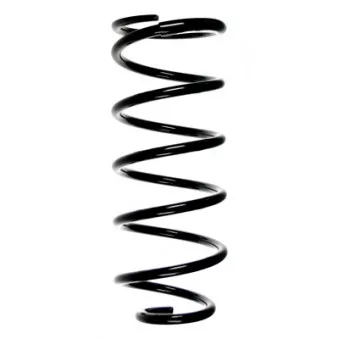 Ressort de suspension SPIDAN 49520