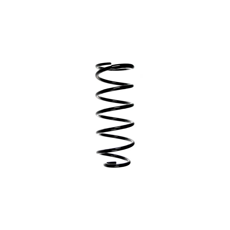 Ressort de suspension SPIDAN 49520