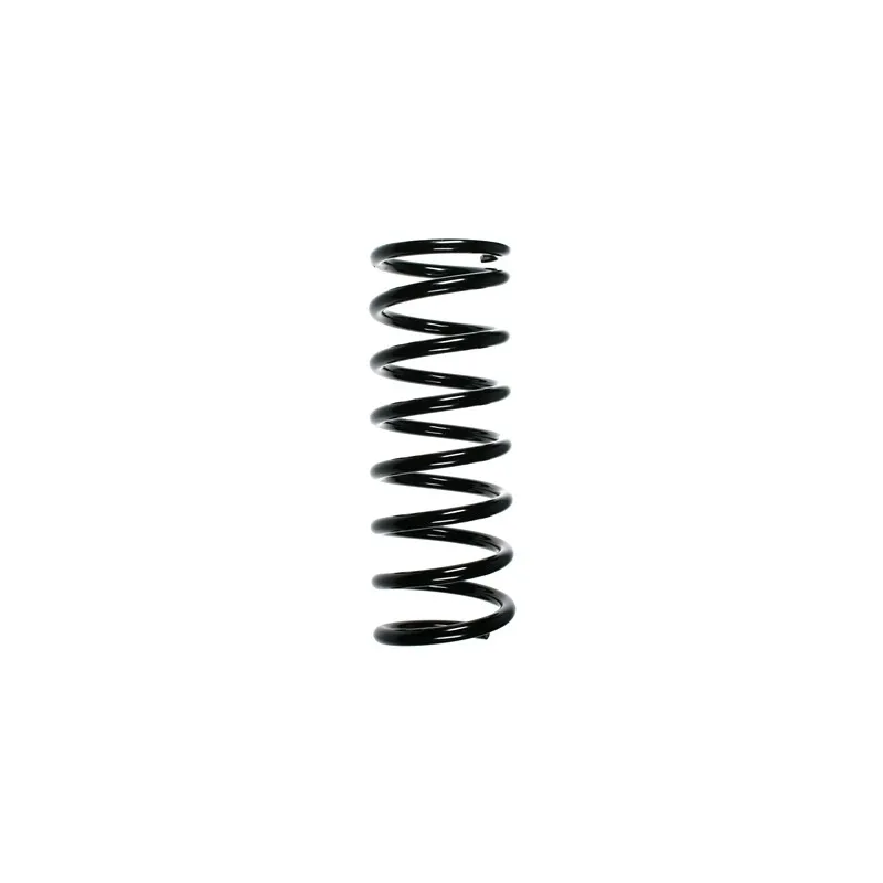 Ressort de suspension SPIDAN 49521