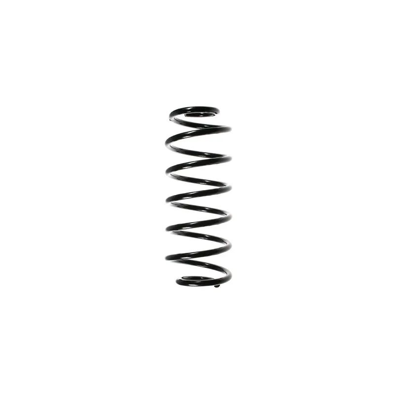 Ressort de suspension SPIDAN 49524