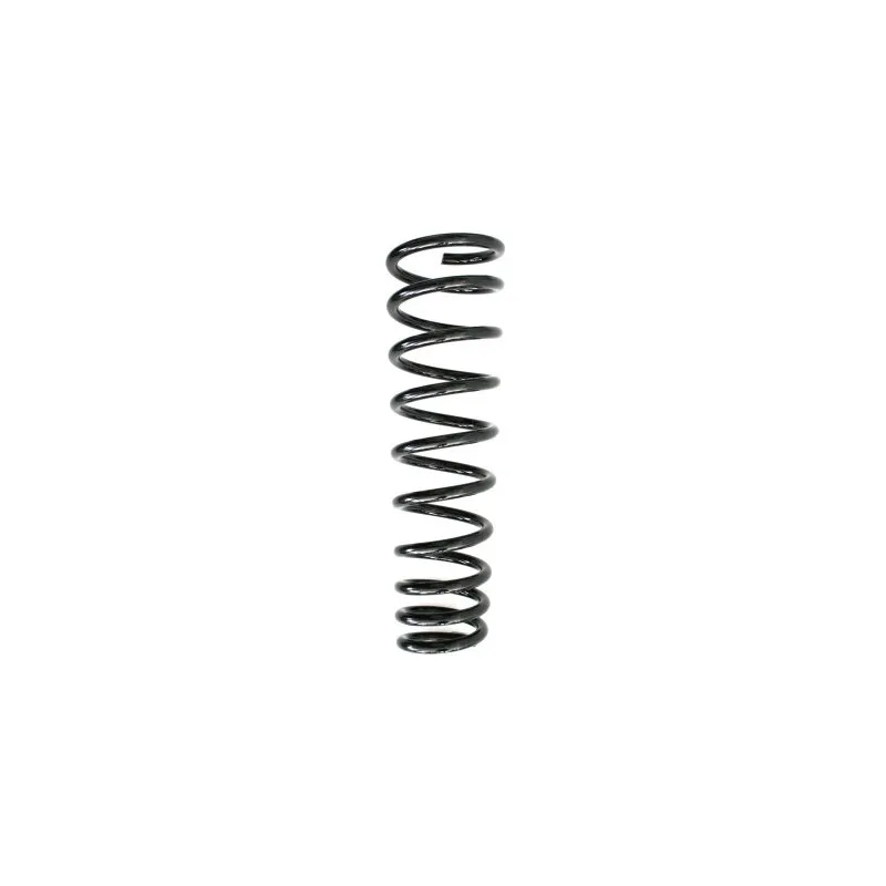 Ressort de suspension SPIDAN 49531