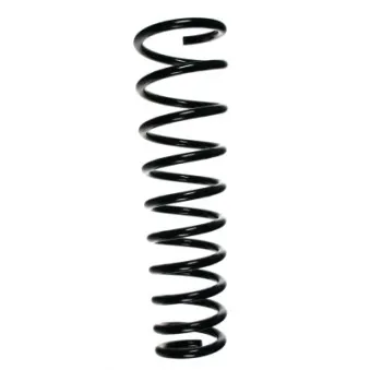 Ressort de suspension SPIDAN 49532