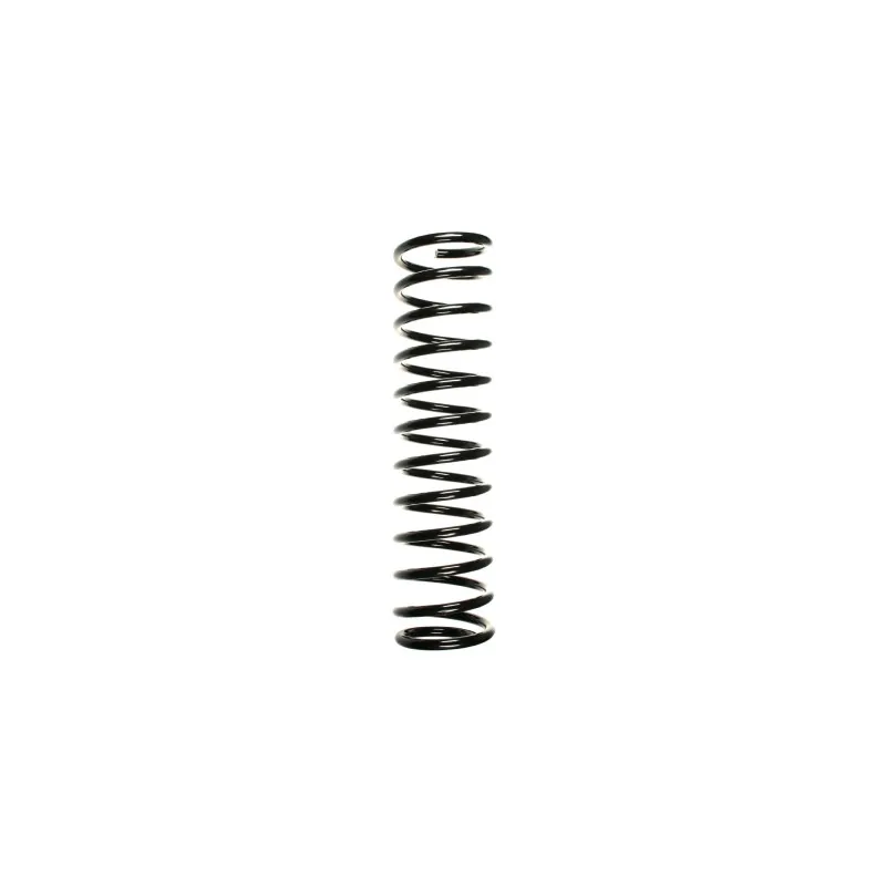 Ressort de suspension SPIDAN 49535