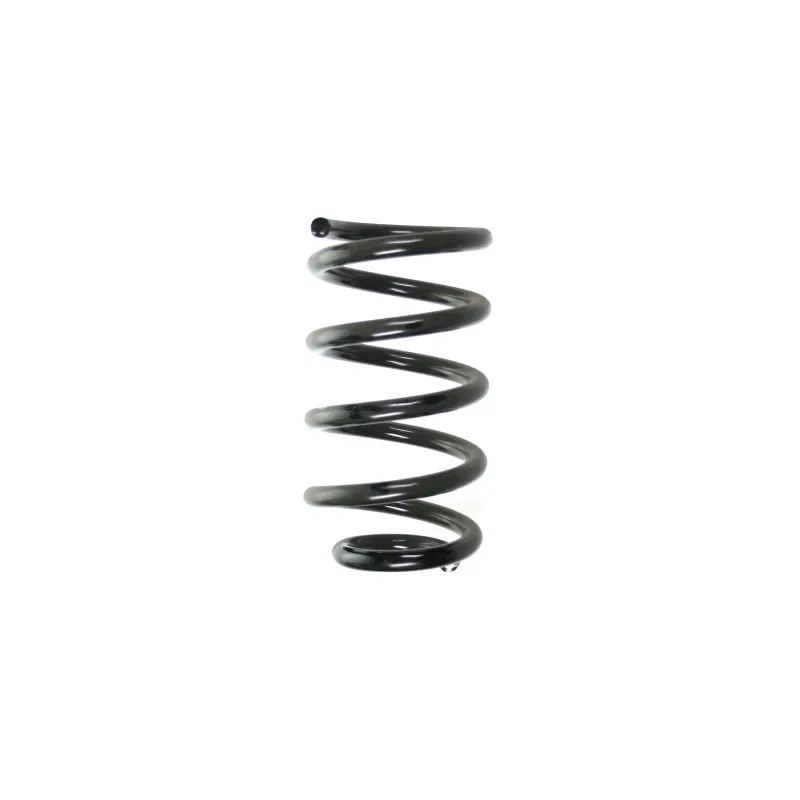 Ressort de suspension SPIDAN 49536