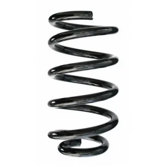 Ressort de suspension SPIDAN 49538