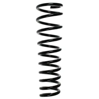 Ressort de suspension SPIDAN 49540