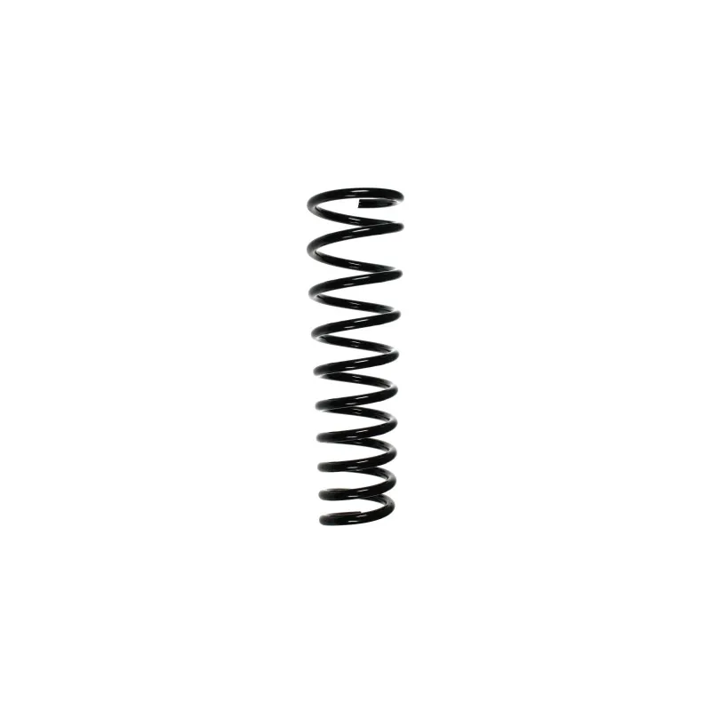 Ressort de suspension SPIDAN 49540