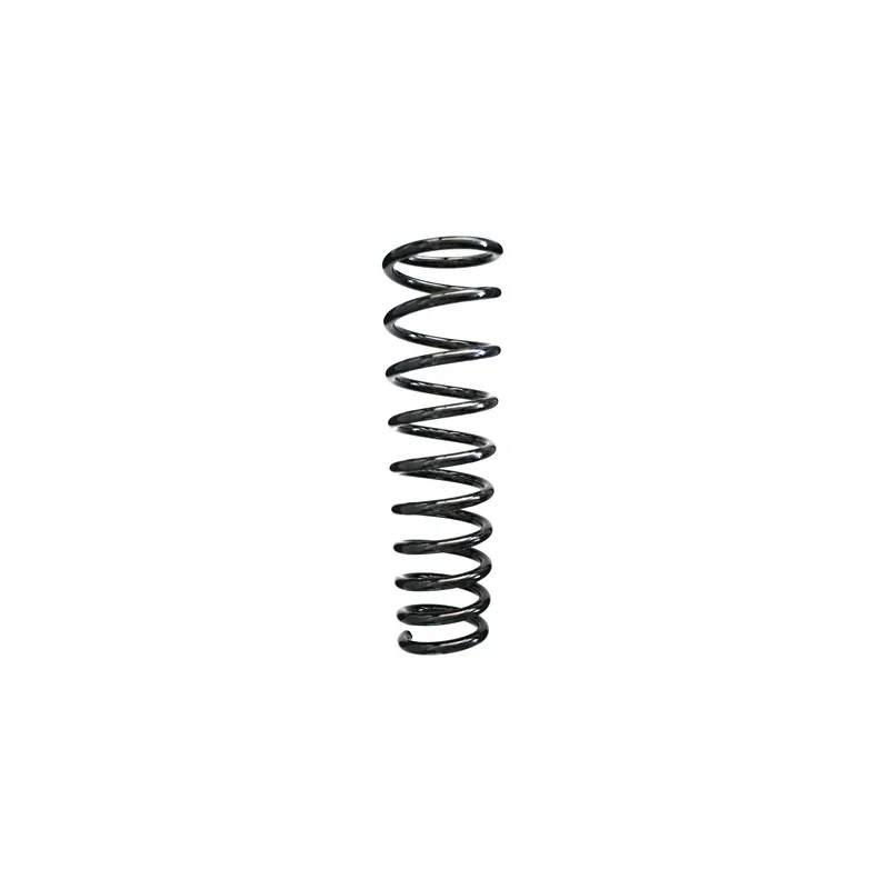 Ressort de suspension SPIDAN 49541