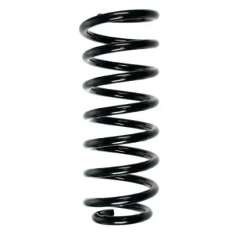 Ressort de suspension SPIDAN 49542