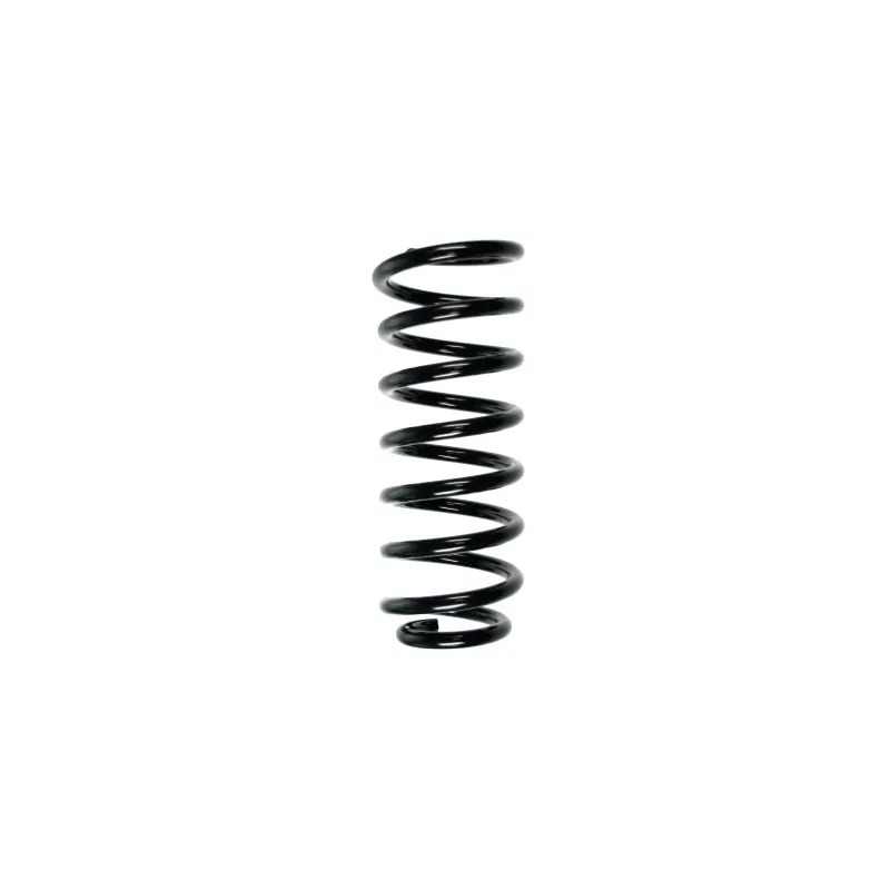 Ressort de suspension SPIDAN 49542