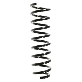Ressort de suspension SPIDAN 49545