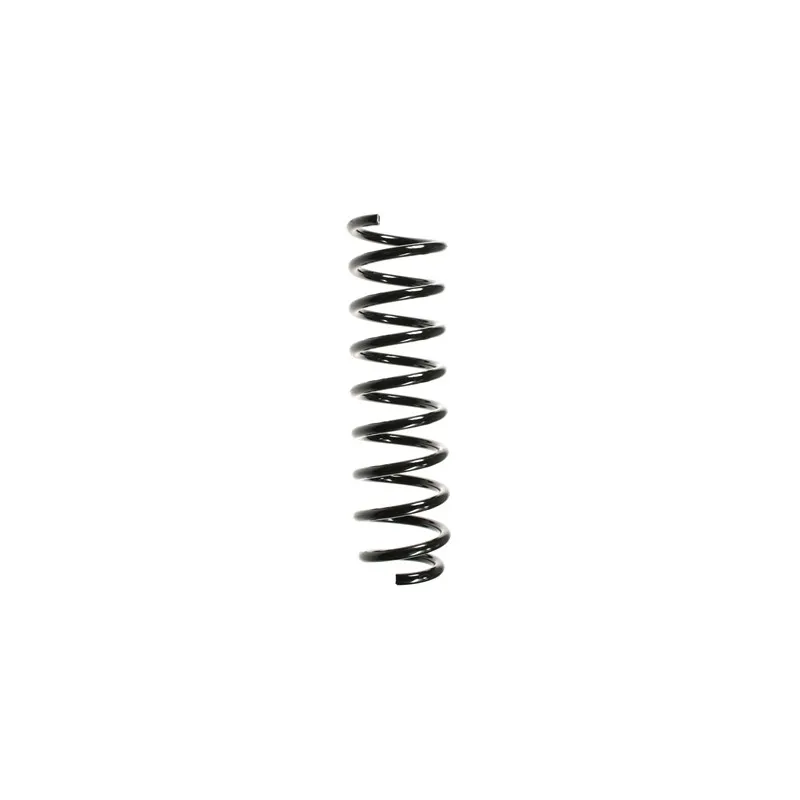 Ressort de suspension SPIDAN 49545