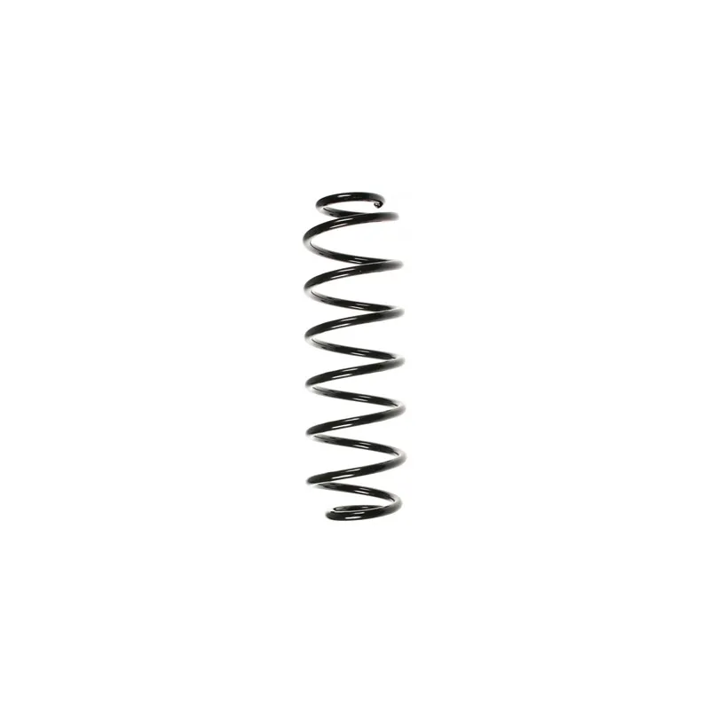 Ressort de suspension SPIDAN 49546