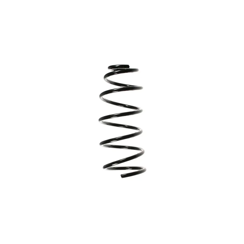 Ressort de suspension SPIDAN 49547