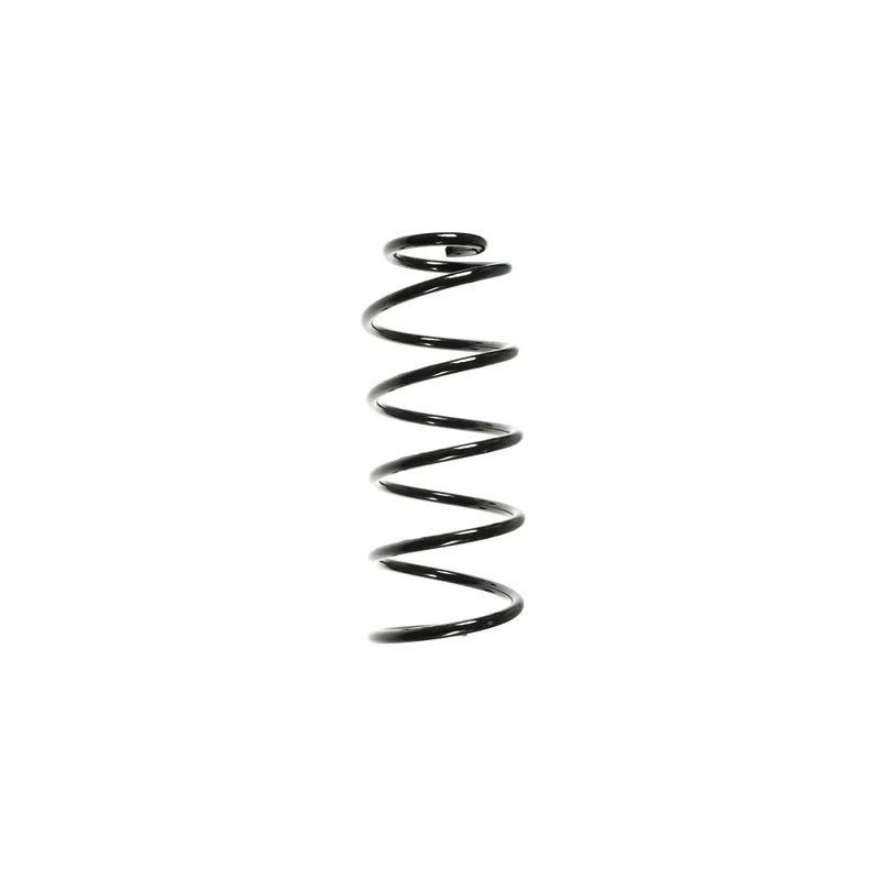 Ressort de suspension SPIDAN 49548