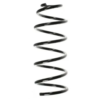 Ressort de suspension SPIDAN 49549