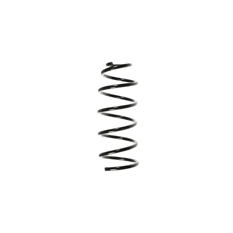 Ressort de suspension SPIDAN 49549