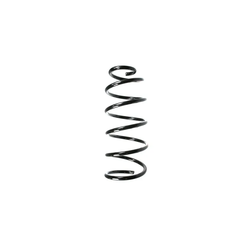 Ressort de suspension SPIDAN 49550