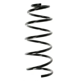 Ressort de suspension SPIDAN 49551