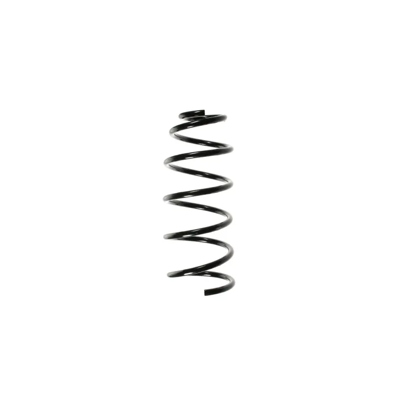 Ressort de suspension SPIDAN 49551