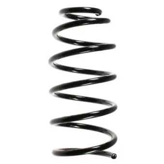 Ressort de suspension SPIDAN 49552
