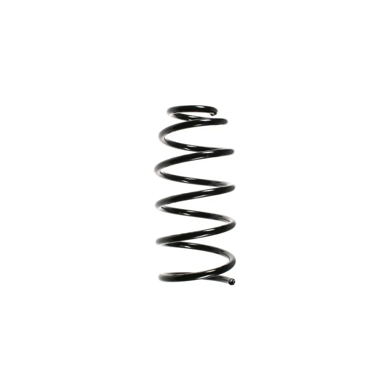 Ressort de suspension SPIDAN 49552