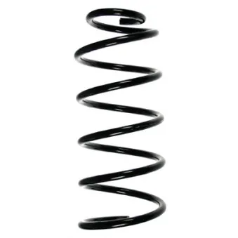 Ressort de suspension SPIDAN 49553