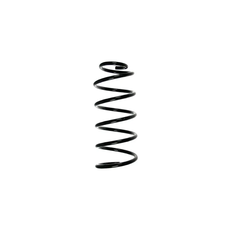 Ressort de suspension SPIDAN 49553