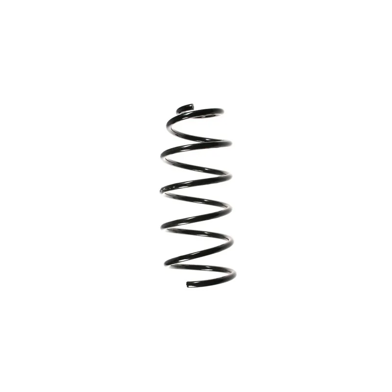 Ressort de suspension SPIDAN 49554