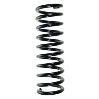 Ressort de suspension SPIDAN 49556