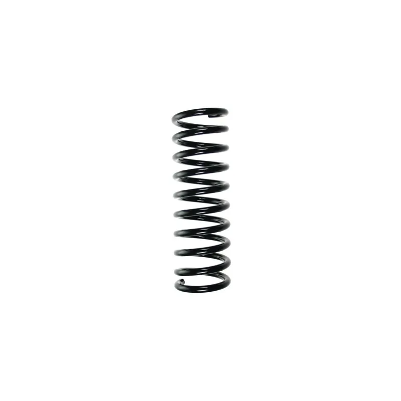 Ressort de suspension SPIDAN 49556
