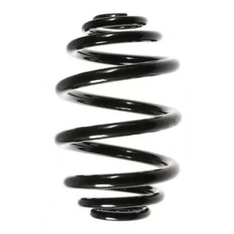 Ressort de suspension SPIDAN 49557