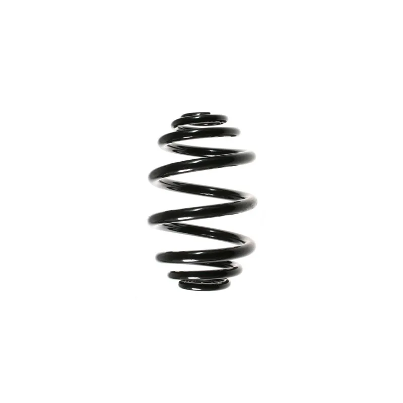 Ressort de suspension SPIDAN 49557