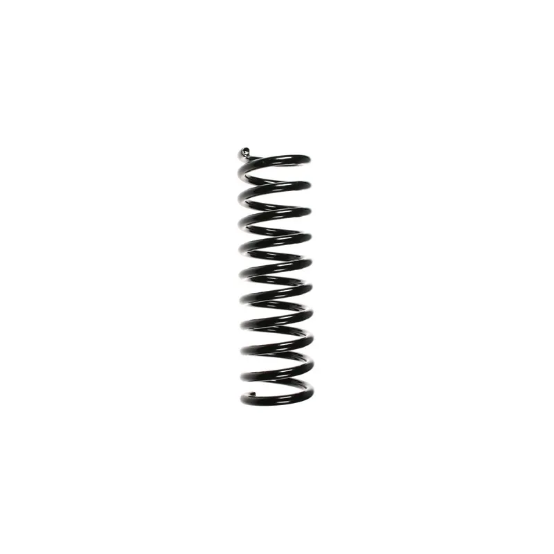 Ressort de suspension SPIDAN 49558
