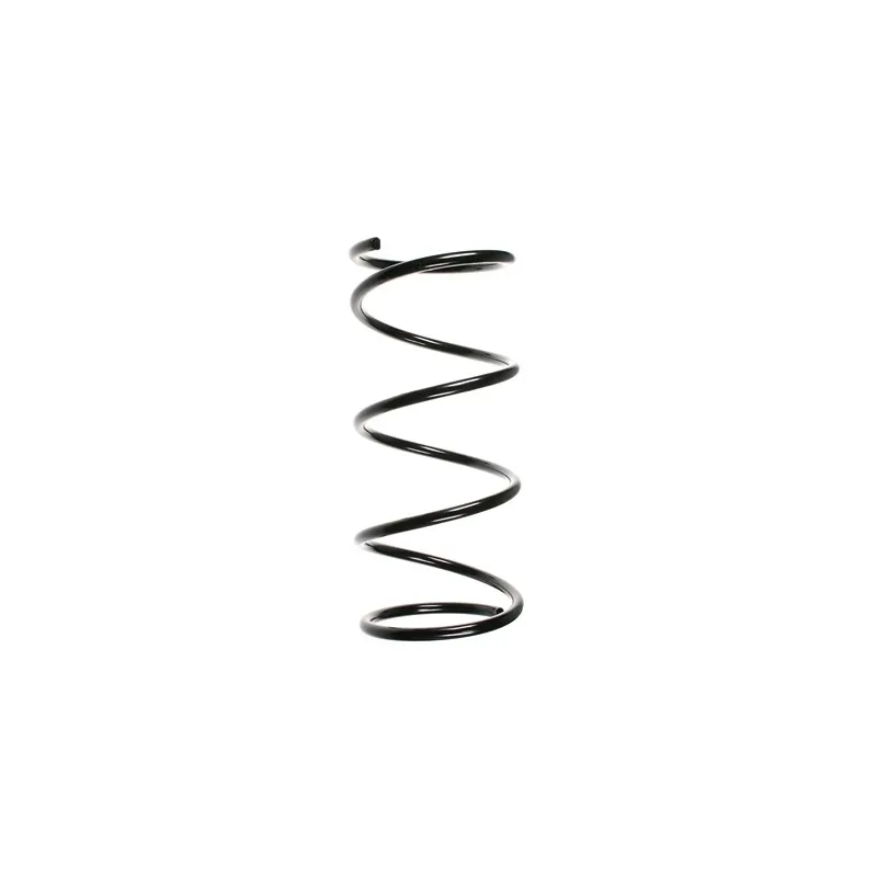 Ressort de suspension SPIDAN 49561