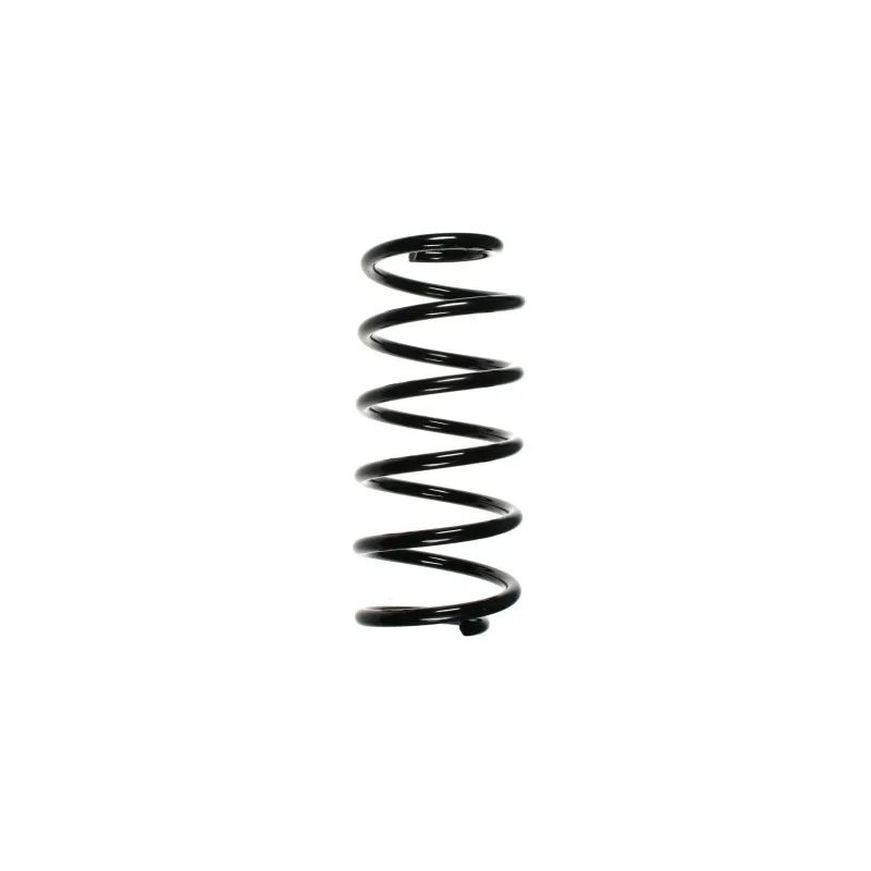 Ressort de suspension SPIDAN 49563