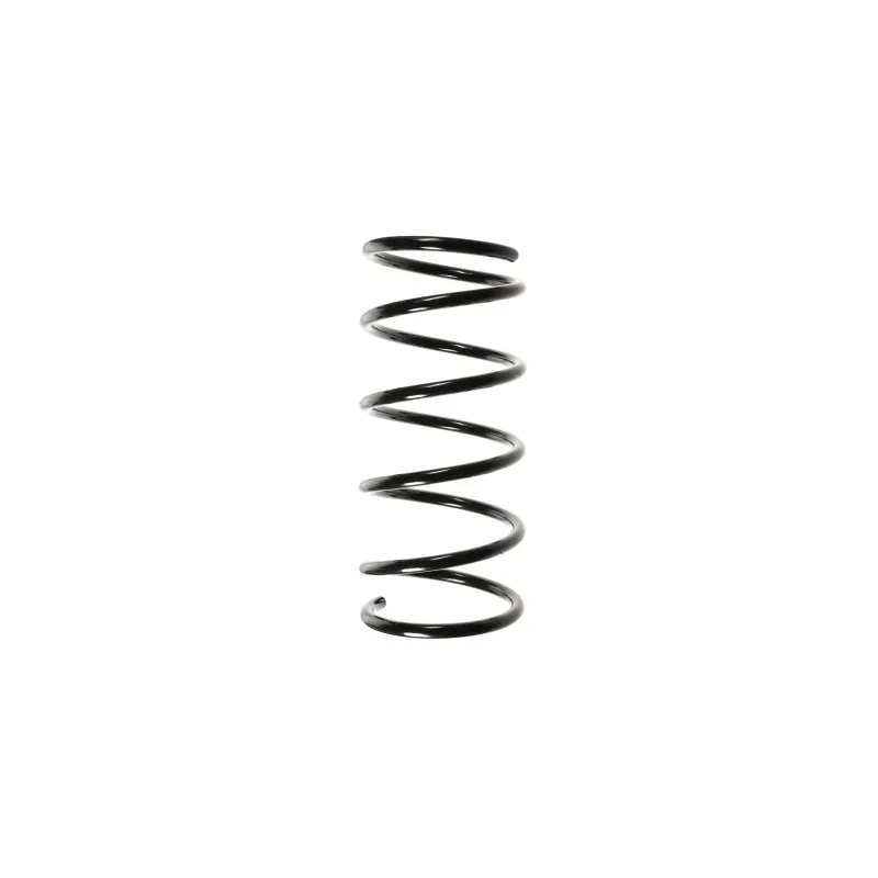 Ressort de suspension SPIDAN 49564