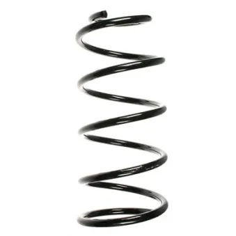 Ressort de suspension SPIDAN 49565