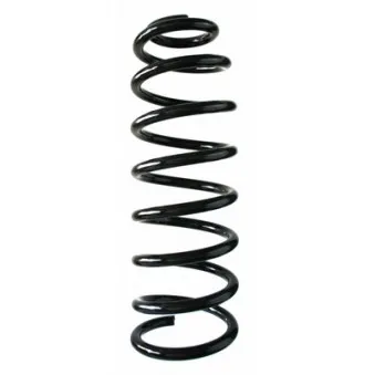 Ressort de suspension SPIDAN 49567
