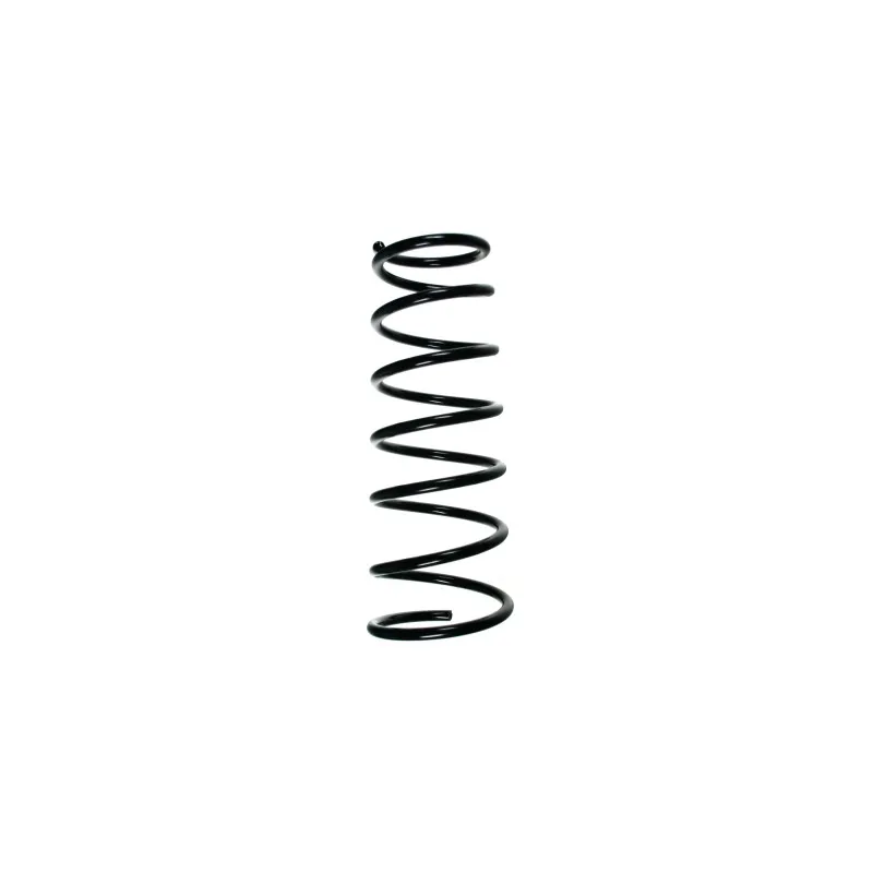 Ressort de suspension SPIDAN 49574