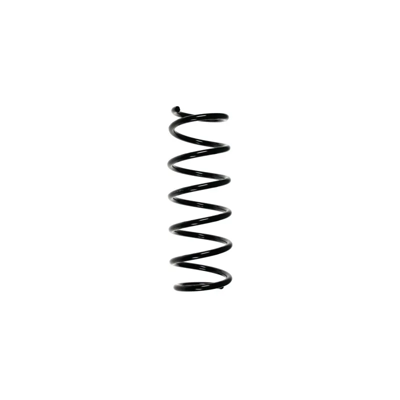 Ressort de suspension SPIDAN 49575