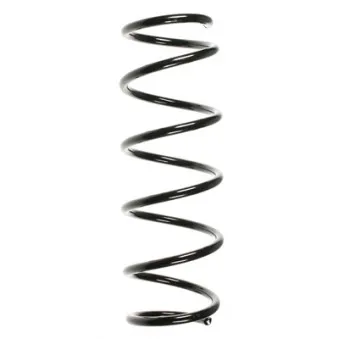 Ressort de suspension SPIDAN 49580