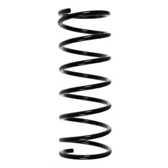 Ressort de suspension SPIDAN 49581