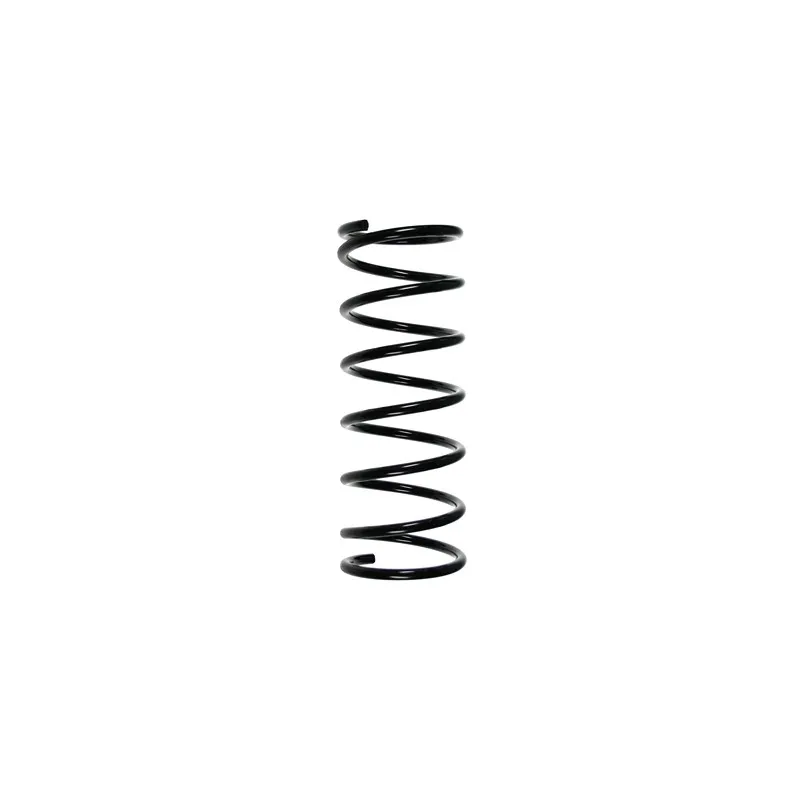 Ressort de suspension SPIDAN 49581