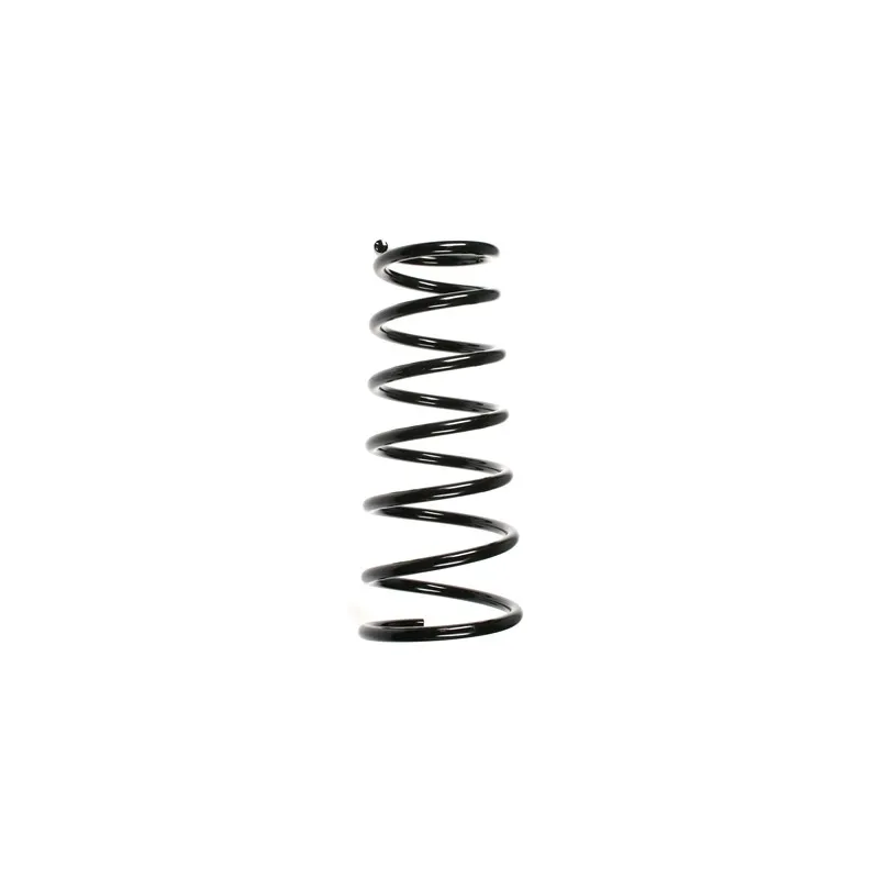 Ressort de suspension SPIDAN 49582