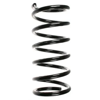 Ressort de suspension SPIDAN 49592