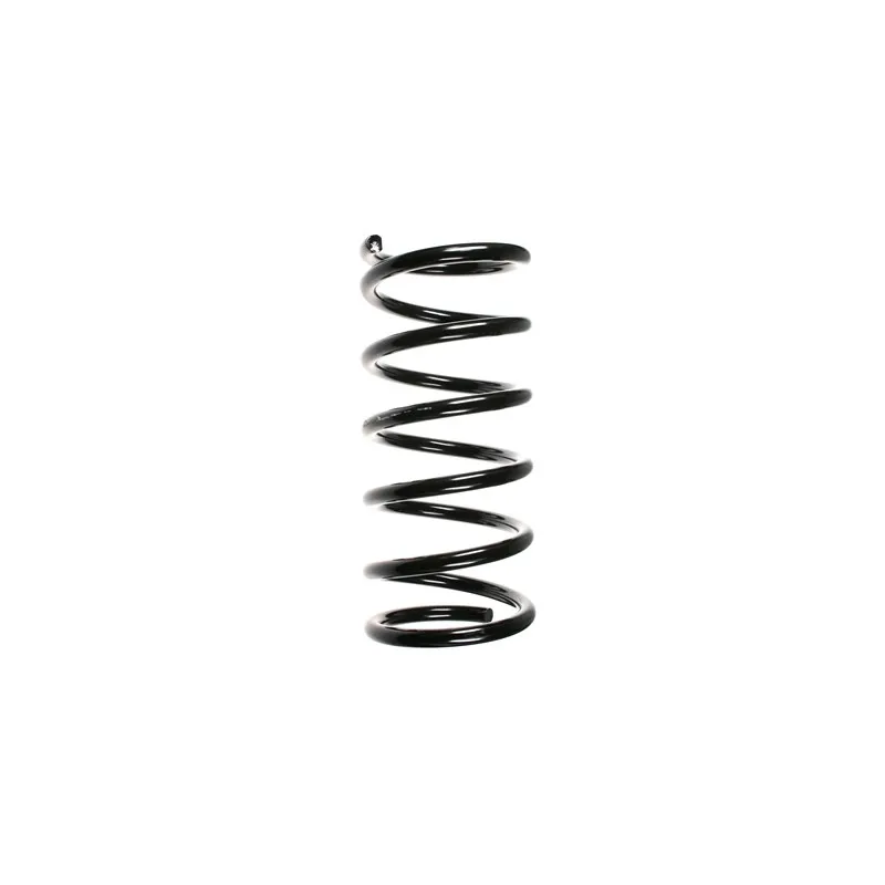 Ressort de suspension SPIDAN 49592