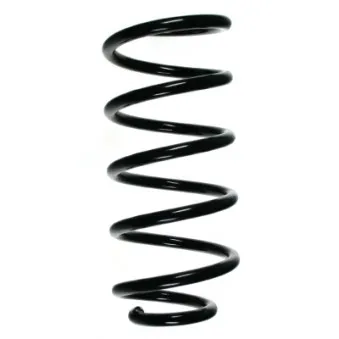 Ressort de suspension SPIDAN 49600